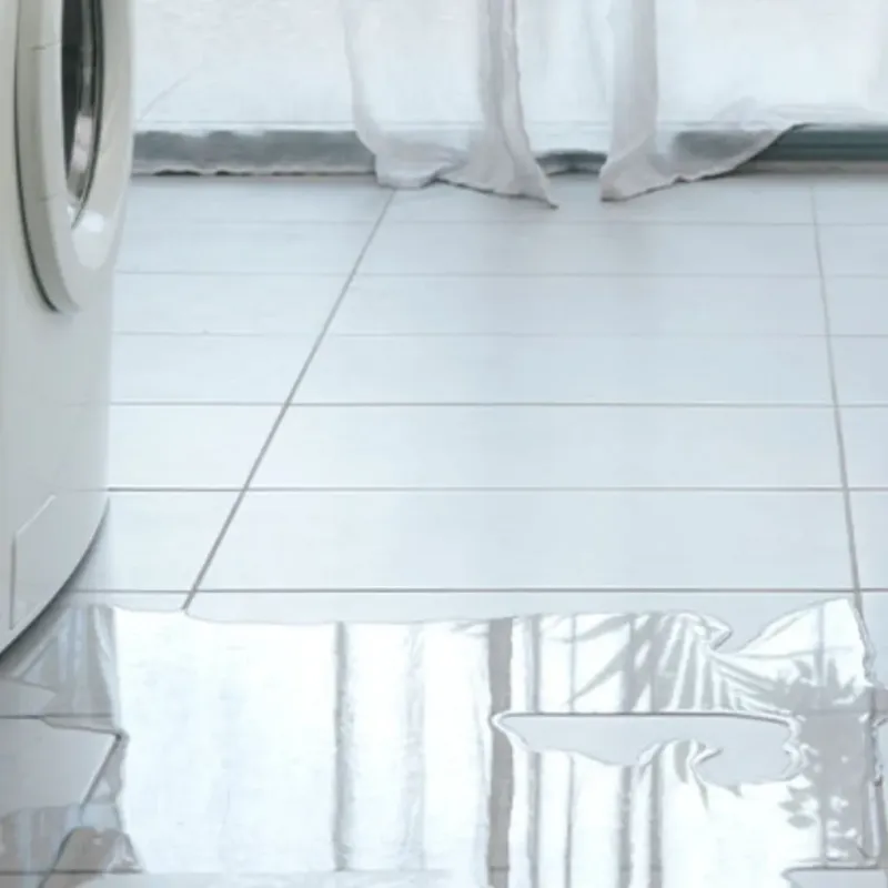 Appliance Leak Cleanup in Buckeye, AZ